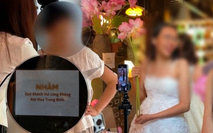 "Hội meo meo" đổ bộ quán cà phê - nam châm hút khách hay nỗi ám ảnh khiến khách hàng không dám quay lại?