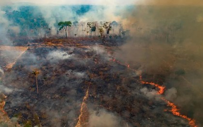 Cảnh báo hiện tượng El Nino đạt đỉnh vào năm 2027