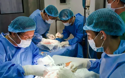 Vợ hiến thận cứu chồng trong ca ghép lần 3 với 'rừng' mạch máu vôi hóa