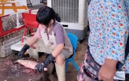 Sự thật về bức ảnh bé gái ngồi mổ cá khiến cư dân mạng bật khóc: Tôi cũng muốn dạy được đứa con hiếu thảo như vậy!
