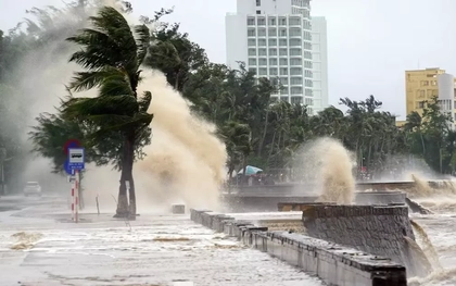 Hải Phòng cấm tàu thuyền ra khơi