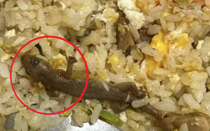 Đang ăn cơm rang, cô gái sốc khi thấy thứ "đáng sợ" trong đĩa