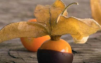 Loại quả dại ở Việt Nam “lên đời” thành đặc sản ở trời Tây, giá cao bất ngờ