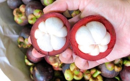 Măng cụt được ví là "nữ hoàng trái cây": Nhiều lợi ích nhưng có 5 nhóm người nên hạn chế ăn