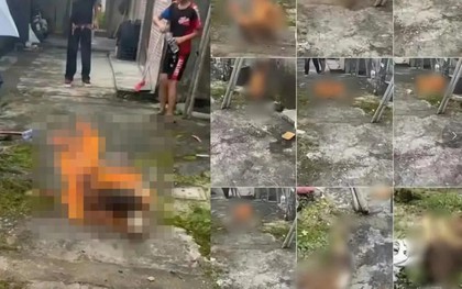 4 đứa trẻ dưới 14 tuổi gây phẫn nộ vì hành vi ngược đãi động vật, chuyên gia lên tiếng cảnh báo