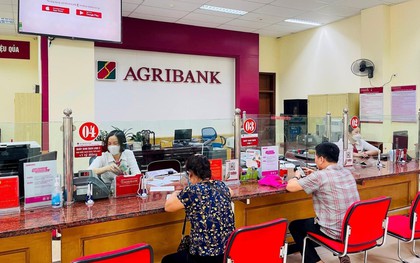 Lãi suất ngân hàng 10/8 tại Agribank, Vietcombank, BIDV, VietinBank, MB, Sacombank, HDBank,...