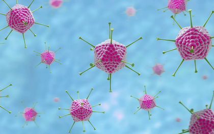 Vì sao bệnh do virus Adeno dễ lây lan trong mùa hè?