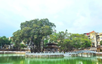 Hồ nước rộng hơn 12.000m² trước Văn Miếu, nơi các nho sĩ Thăng Long từng ngồi bình thơ, giờ là điểm hẹn văn hóa giữa lòng Hà Nội