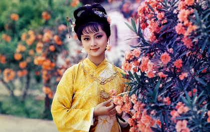 Con đường thành đại gia trăm triệu USD của mỹ nhân "Hồng lâu mộng"