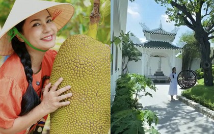 Nhà vườn rộng 3.000m2 của người đẹp Tây Đô Việt Trinh