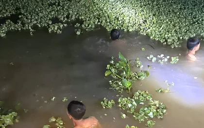 Bé gái mất tích, tìm thấy thi thể dưới ao nước gần nhà