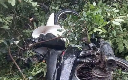 Cây xanh gãy đổ, đè tử vong nam thanh niên đi xe máy ở Đắk Lắk