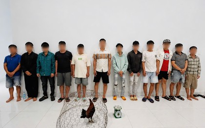 Ập vào kiểm tra 1 tụ điểm, công an tạm giữ hình sự 4 đối tượng, thu giữ 1 con gà và 7 cuộn băng keo