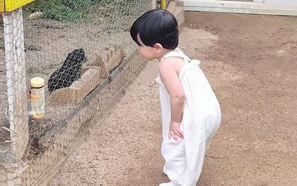 Trẻ IQ cao thường có 3 kiểu "dai dẳng" này!