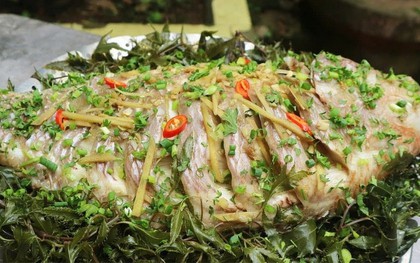 Tin vui cho những người thích dùng lá đinh lăng!