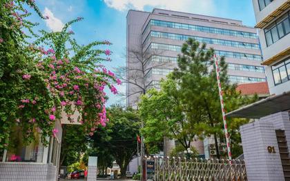 Đúng 3/8, "Harvard Việt Nam" thành lập 4 trường trực thuộc đầu tiên, mục tiêu mở tổng cộng 7 trường