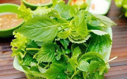 Tin vui cho những người thích ăn rau kinh giới!