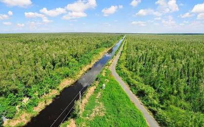 Việt Nam có khu rừng thuộc dạng hiếm bậc nhất thế giới, chia đôi bởi 1 dòng sông, 3 tổ chức cùng vinh danh