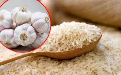 Nhiều người nhét tỏi vào thùng gạo hóa ra vì những lợi ích này