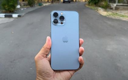 5 chiếc iPhone cũ đáng mua nhất năm 2026