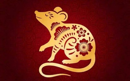 Điểm yếu của người tuổi Tý
