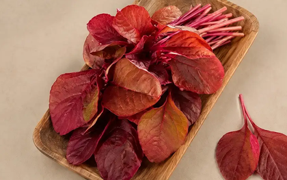 Rẻ bèo, loại rau giàu sắt ngang thịt bò, chợ Việt bán đầy: Rau gì mà bổ dưỡng đến vậy?