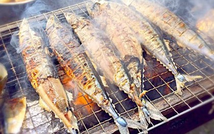 Rẻ hơn cá hồi nhưng dinh dưỡng ngang ngửa, lượng DHA dồi dào gấp 3 lần: Bạn có biết đó là cá gì?