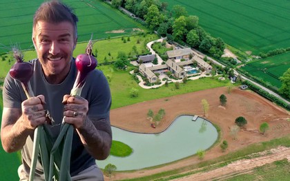 Toàn cảnh khu đất 100.000m2 là trang trại nuôi gà của David Beckham