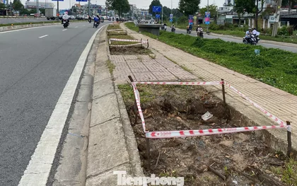 Đốn hạ gần 200 cây xanh để thi công Vành đai 2