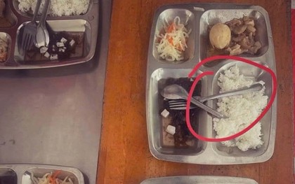 Suất cơm bán trú này có gì mà khiến MXH tranh cãi ầm ĩ, có phụ huynh phải thốt lên: Quá mệt mỏi!
