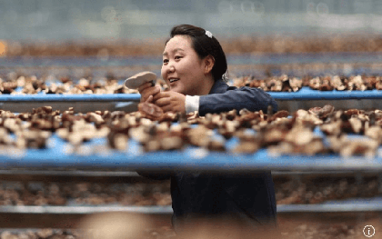 Khó của nền kinh tế lớn thứ 2 thế giới: 12,7 triệu sinh viên cùng tìm việc, tỷ lệ thất nghiệp cao kỷ lục, AI tạo thêm sức ép