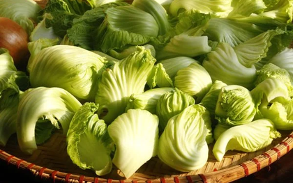 Vì sao nên ăn các loại rau có vị đắng vào mùa thu?