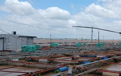 Hai cha con bị điện giật rơi xuống sông mất tích