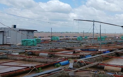 Vụ cha cứu con bị điện giật, cả 2 rơi xuống sông mất tích: Tìm thấy thi thể 2 cha con