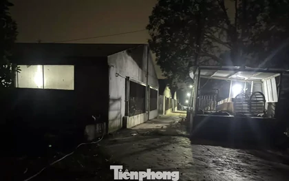 Vụ đàn heo 2.350 con dương tính với chất cấm ở Đồng Nai: Chuyển hồ sơ qua Công an