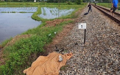 Băng qua lối đi tự mở, người đàn ông ở Đà Nẵng bị tàu hỏa tông tử vong