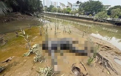 Công an tìm tung tích, người thân của nam thanh niên tử vong dưới rạch Đầu Ngựa ở TP.HCM