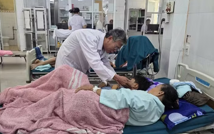 Vụ ngộ độc thực phẩm ở Quảng Trị: Phát hiện Salmonella trong chả bò, chả cá, rau, thịt rim