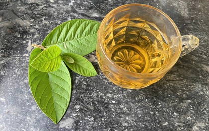 Lời khuyên dành cho tất cả những người uống nước lá ổi