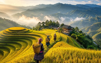 Việt Nam có địa điểm lọt TOP "sắc màu nhất thế giới”: Người dân làm du lịch trên 853 ha ruộng bậc thang, MICHELIN cũng phải vinh danh