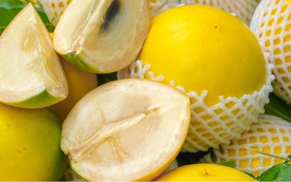 1 loại quả ngọt tốt ngang nhân sâm, chỉ duy nhất Việt Nam xuất khẩu trên thế giới: Hạ đường huyết, bổ máu, tốt cho xương khớp