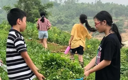 Tổng Chủ biên chương trình giáo dục trải nghiệm: Không bắt buộc đưa học sinh đi xa trải nghiệm