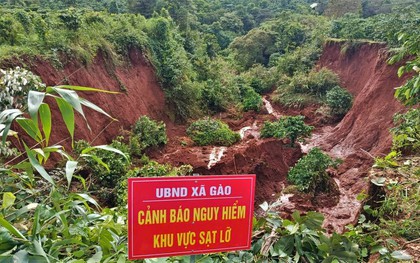 Sạt lở đồi sau mưa lớn vùi lấp nhiều rẫy cà phê, hoa màu ở Gia Lai