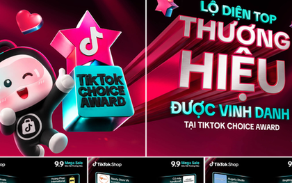 Lộ diện những thương hiệu được "500 anh em" TikTok tìm kiếm nhiều nhất ngày đôi 9.9