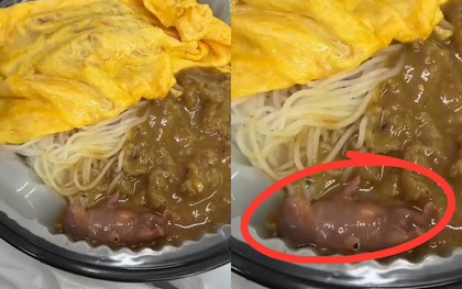 Mở hộp mì bò, nữ thực khách tá hỏa khi thấy chuột con còn sống bên trong, nhà hàng Hong Kong bị điều tra