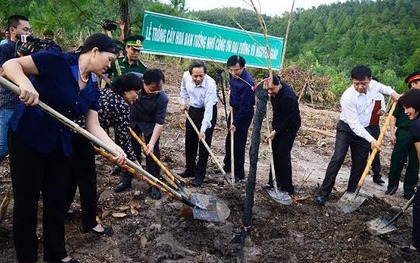 103 cây hoa ban Điện Biên về bên mộ Đại tướng