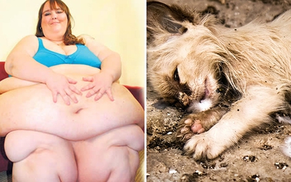 Xác mèo bị mắc kẹt giữa nếp gấp đùi của cô nàng nặng 350kg