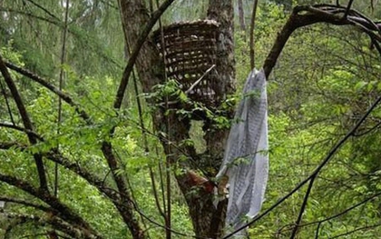 Khu rừng an táng trẻ con… trên cây ở Cao Bằng
