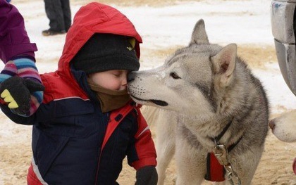 22 khoảnh khắc đáng yêu về tình bạn của các chú chó dành cho con trẻ