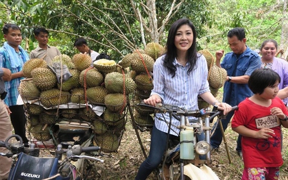 Lan truyền bộ ảnh cựu thủ tướng Thái Lan xinh đẹp đi thăm vườn sầu riêng